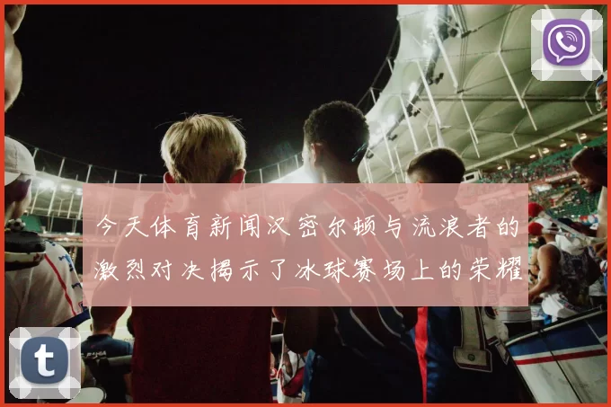 今天体育新闻汉密尔顿与流浪者的激烈对决揭示了冰球赛场上的荣耀与激情